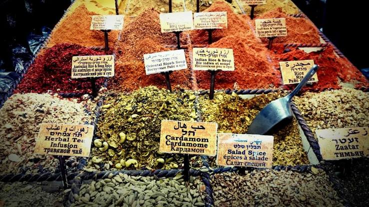 12705709_10208729735585041_2081660003854031436_n