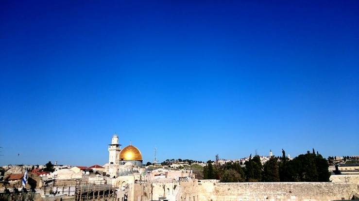 12729009_10208720165305790_2309746514960039857_n